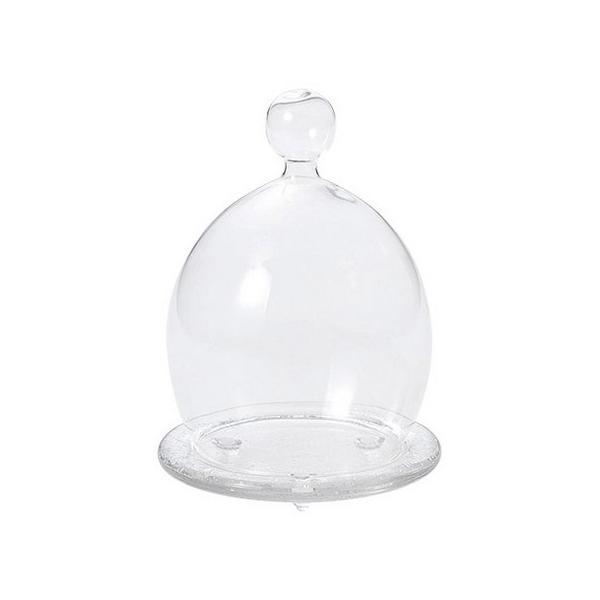 zr[ OXh[ S  FR-684 6 Ԋ ԕr h[AKXh[