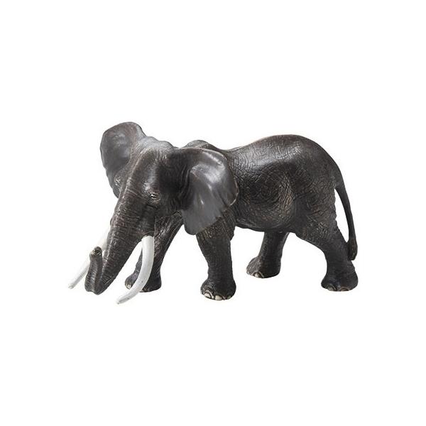 zr[ ]E   MB-8544 2 |pi K[fjOG I[ig u I[ig