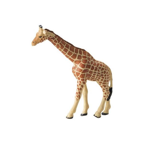 zr[ L   MB-8545 3 |pi K[fjOG I[ig u I[ig