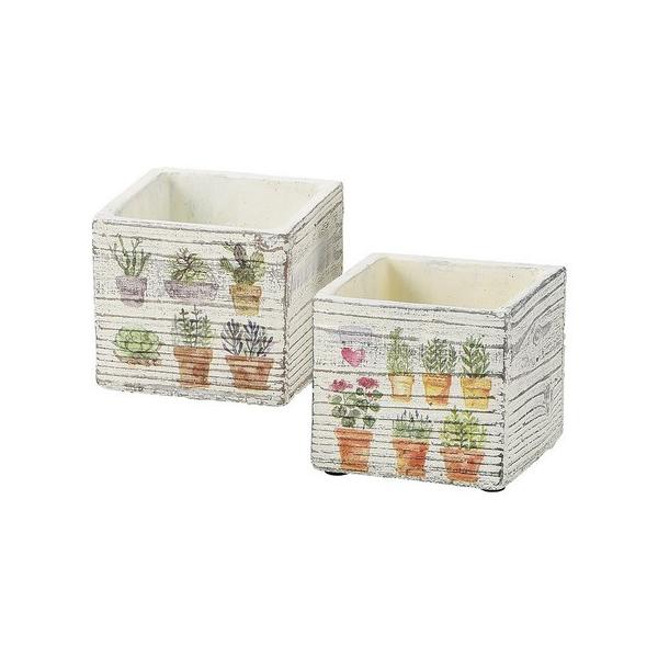 zr[ XNGA|bg vcB  SP-1132 6 Ԋ ԕr Ԋ