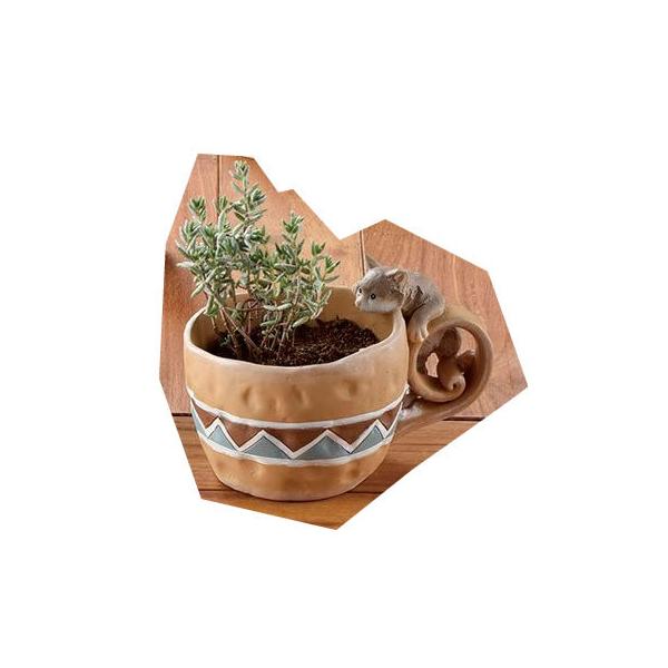 Aؔ  zr[ lRƃ}O GM-3843 3 K[fjO |pi t[|bg W