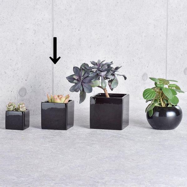 zr[ XNGAubNW8 SP-1234 6 Ԋ ԕr Ԋ