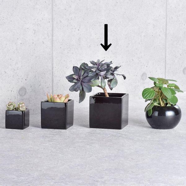 zr[ XNGAubNW10 SP-1235 6 Ԋ ԕr Ԋ