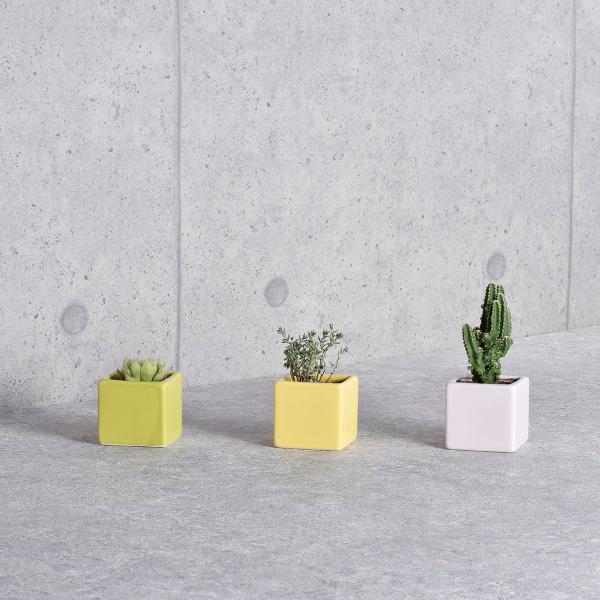 zr[ XNGA[J[|bg O[ SP-1253 12 Ԋ ԕr Ԋ