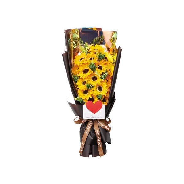 \[vt[ zr[ Ђ܂V{u[PL GM-3911 \[vt[ \[vt[i