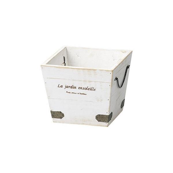 Aؔ  Paseo Ebhv^[ k WD-11WH 3 K[fjO |pi t[|bg ؐ