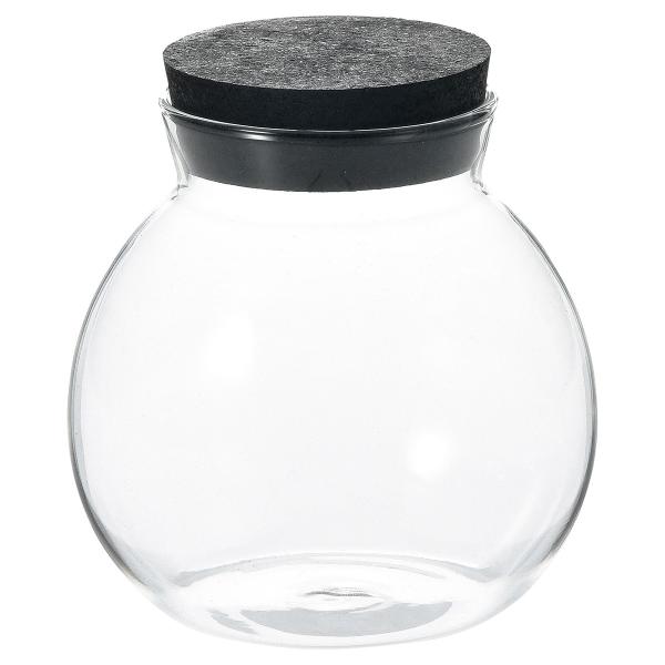 Paseo RNr 48-02BK 3 Ԋ ԕr h[AKXh[