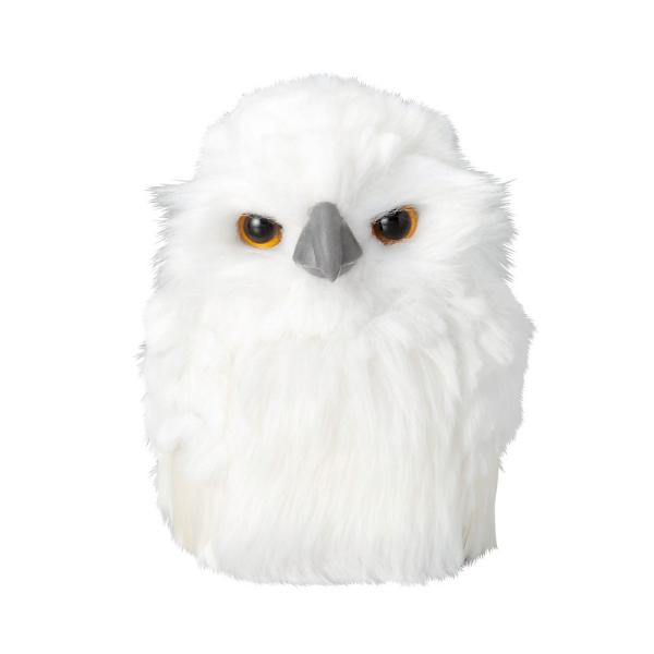 Paseo ~jzCgtNE 63-08WH 2P X NX}XfBXvC u IuWF