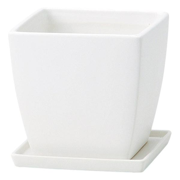 Paseo Z~bNv^[ JT-09-15WH |pi Aؔ t[|bg  Z~bN