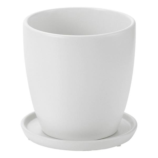 Aؔ  Paseo Z~bNv^[ JT-10-15WH K[fjO |pi t[|bg  Z~bN