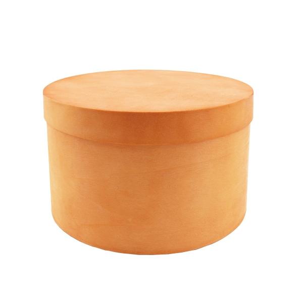 Paseo EbhMtg{bNX LY-35 Ԋ ԕr ؐԊ