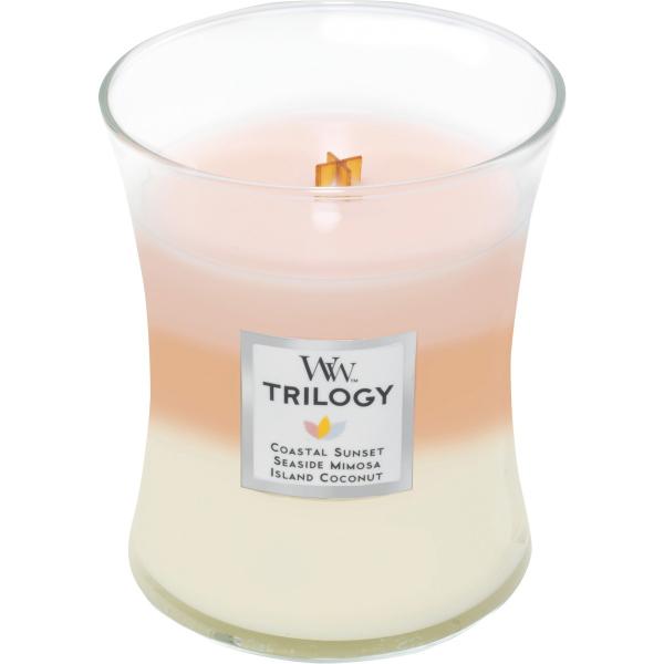 07 J} WoodWick WWgW[W[l AChQb^EFC WW910-05-38 Lh E\N A}Lh