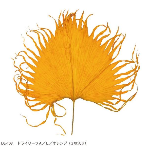 【商品番号：096-01554】/【販売単位】2個 ※表示価格は、この単位での金額となります/【VAR：41739】4580435069323/20170316new/18hwdp1/bk-1026ドライ葉物 リーフ