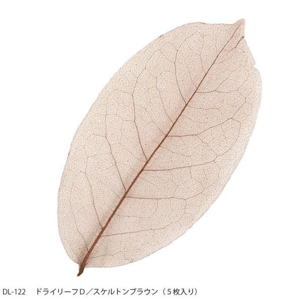 【商品番号：096-01568】/【販売単位】3個 ※表示価格は、この単位での金額となります/【VAR：41742】4580435069460/20170316newドライ葉物 リーフ【azi-azi】