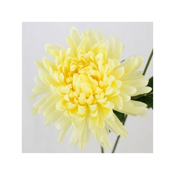  FIAN } FM0020YEL  ԍށusv LN e  s|}