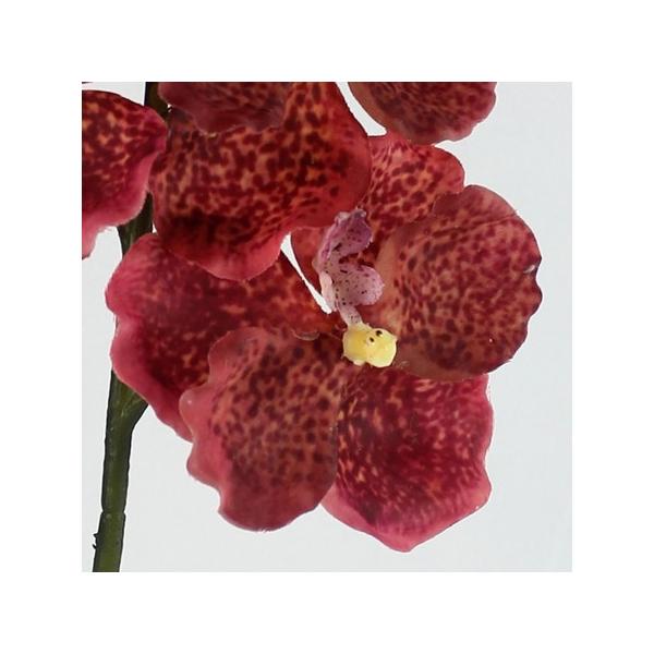 生花 ラン 造花 アーティフィシャルフラワーの人気商品 通販 価格比較 価格 Com