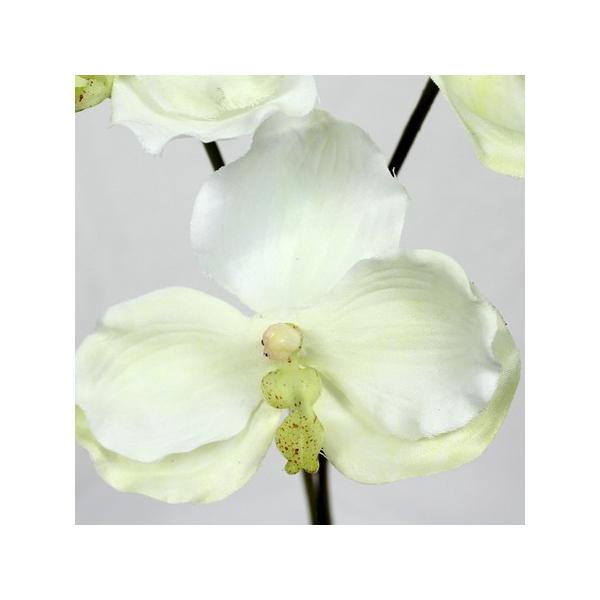 生花 ラン 造花 アーティフィシャルフラワーの人気商品 通販 価格比較 価格 Com