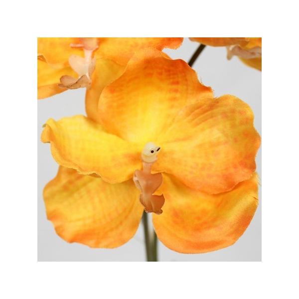  sԓ]ʁtFIAN @_I[LbhsbN 3{ @OR FPF0008OR  ԍށusv    I[Lbh