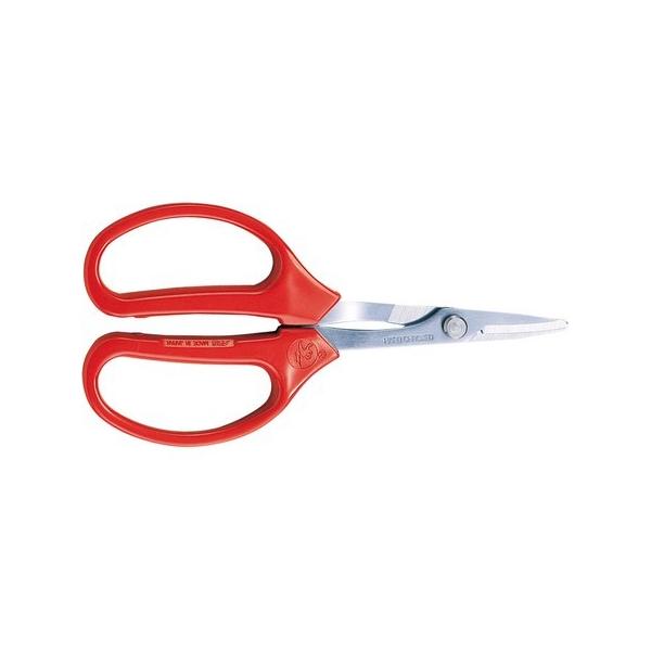 AXR[|[V Ntgn 350-T  ͂  