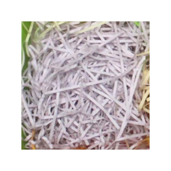 Gracias p[p[NbV ɏՍ  X^_[h^Cv 500  tW K-155-15 ɏՍ  GANbV GA[ɏՍ