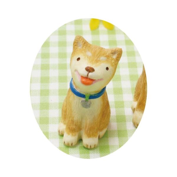 07 ۘaf m[eB[K[f Č  S  400838801 12 fR[Vp[c f ʂ l`