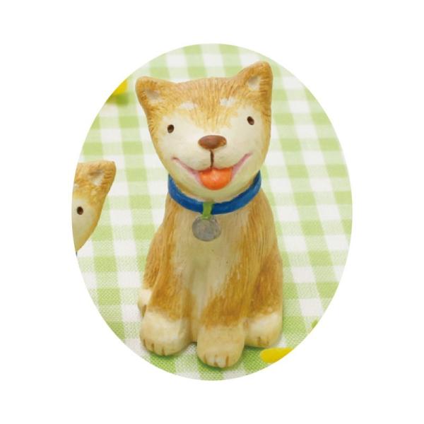 07 ۘaf m[eB[K[f Č  L  400838802 6 fR[Vp[c f ʂ l`