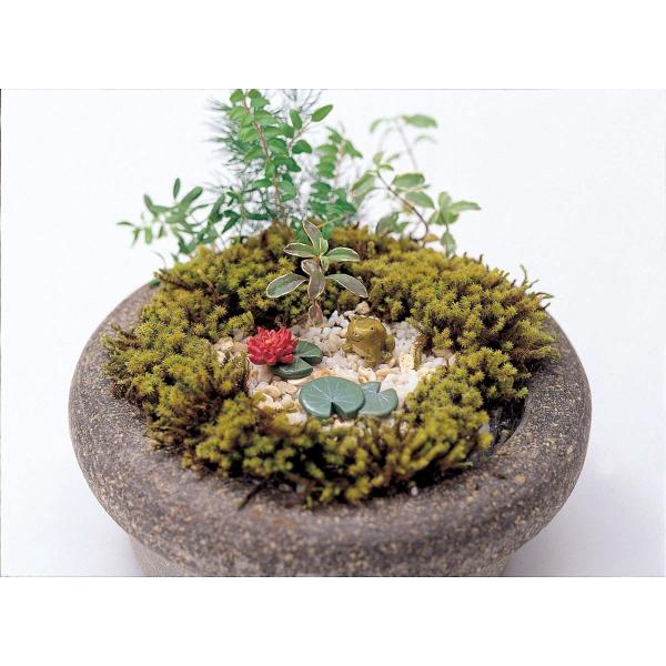 07 ۘaf ~j~jAj}Zbg  JG 830040507 12P |pi K[fjOG I[ig ~j`A