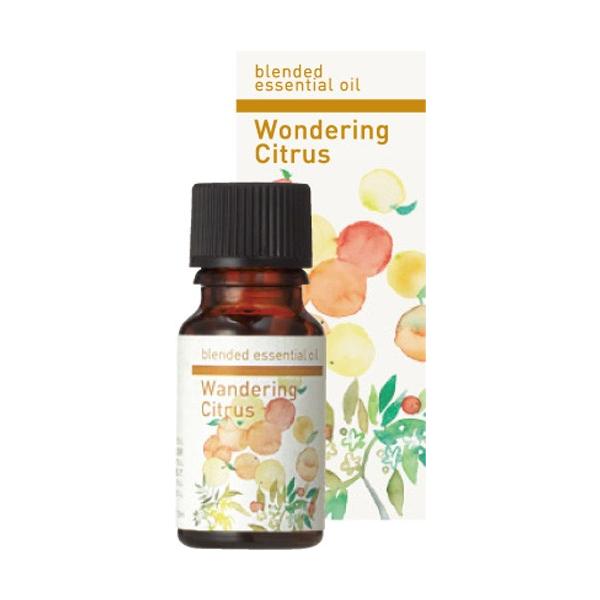 ̖ _OVgX@POk 08-443-8320 A} GbZVIC 