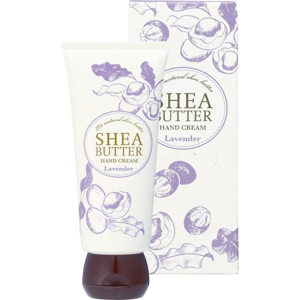 ̖ nhN[@x_[@UO@ 12-107-1040 XLPA {fBPA