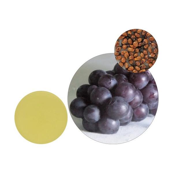 ̖ O[vV[hIC@60mL 12-401-7020 A} LAIC A