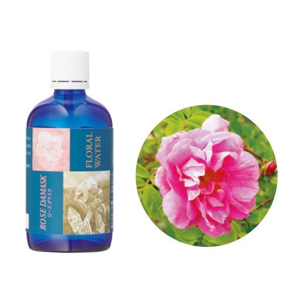 ̖ t[EH[^[ [Y_}XN 100ml 12-805-0510 XLPA t[EH[^[