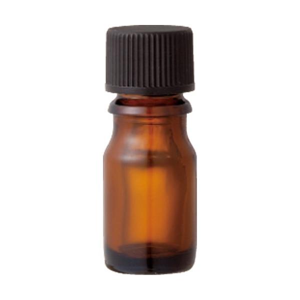 ̖ FՌr@Tk@ 13-664-5220 12 XLPA nhChpeA