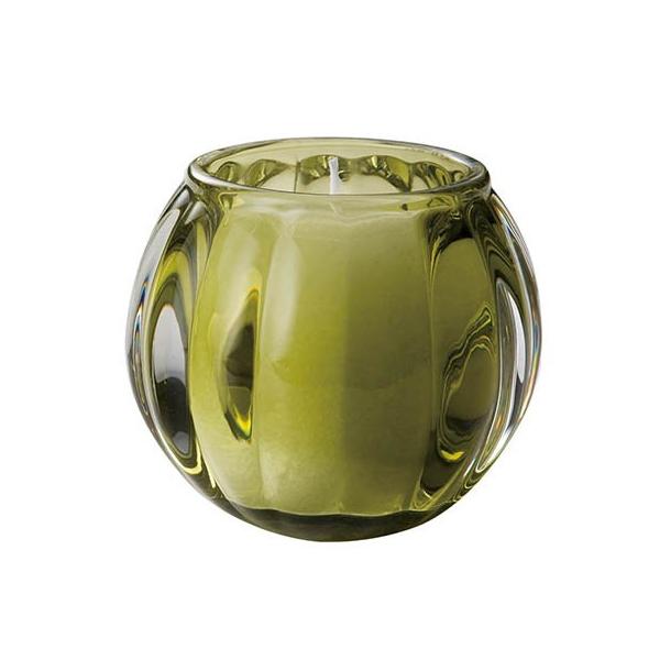 07 yKTXLh [pLhXNbV O[  06620204 Lh E\N uC_Lh