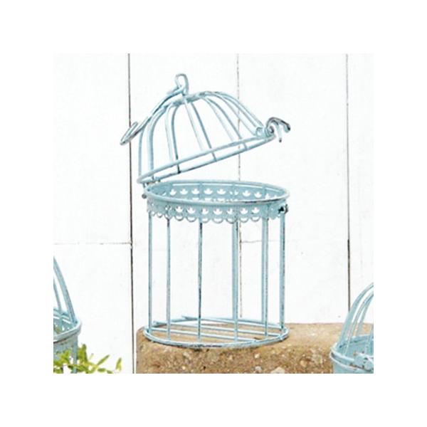 哯Ntg PVo[hP[W2.r@F ABBG17-S10 4 X X܃CeA G  o[hQ[W