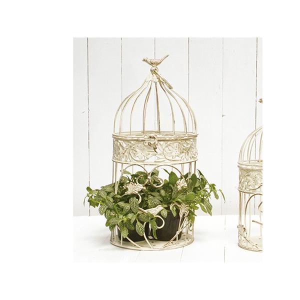 哯Ntg AeB[No[hP[WzCgl@AeB[NzCg AAB14-M20W 4 X X܃CeA G  o[hQ[W