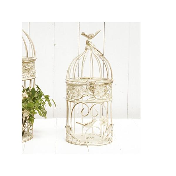 哯Ntg AeB[No[hP[WzCgr@AeB[NzCg AAB14-S15W 4 X X܃CeA G  o[hQ[W