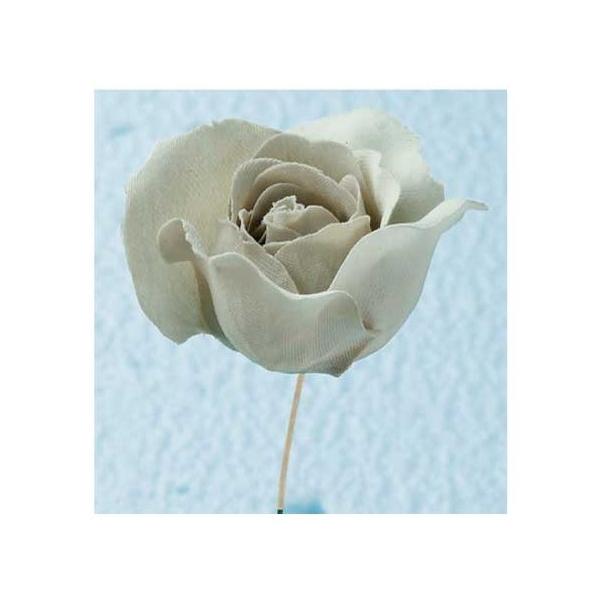 10  TZC FS-01 [Y 46CgO[ 2{ 䎆t 002 700001  ԍށu͍sv o