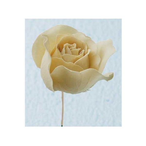 ������10 ���� �T���Z�C FS-01 ���[�Y ��24�~���N�e�B�[ 2�{ �䎆�t 005 700004 ���� �ԍށu�͍s�v �o��