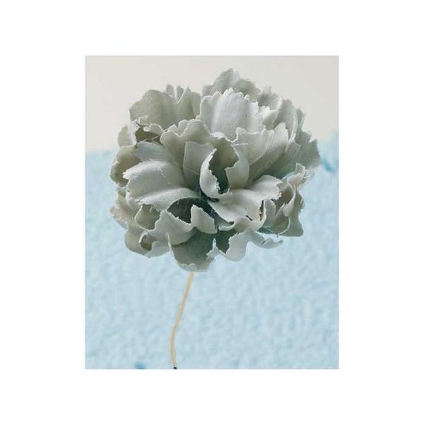 10  TZC FS-02 J[l 46CgO[ 2{ 䎆t 008 700007  ԍށusv J[l[V