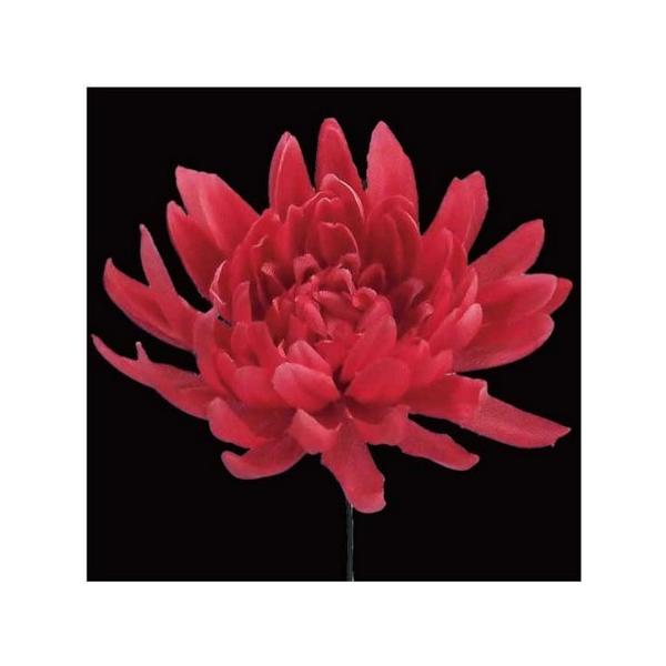 10  TZC NY-047} 04sN 569305  ԍށusv LN e  s|}