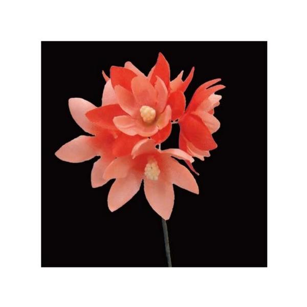 10  TZC NY-035tWA 86 569291  ԍށusv  z