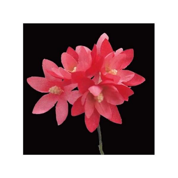 10  TZC NY-035tWA 70sNڂ 569292  ԍށusv  z