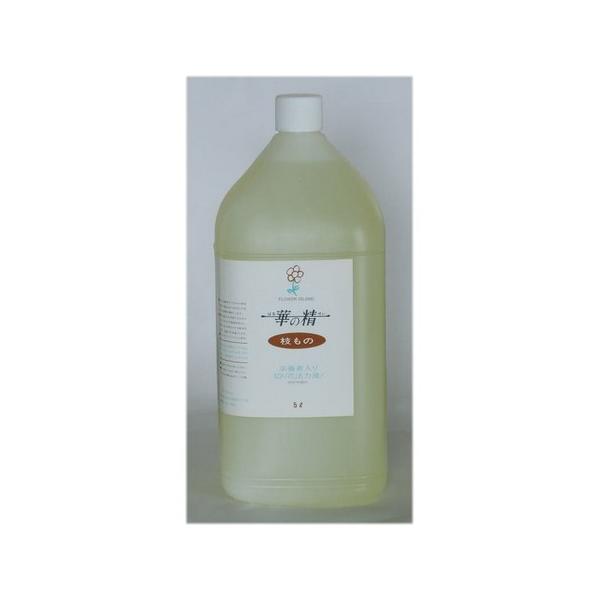 07 pXw ؂̐ } 5L  ؉ԉ h{ ؂̐