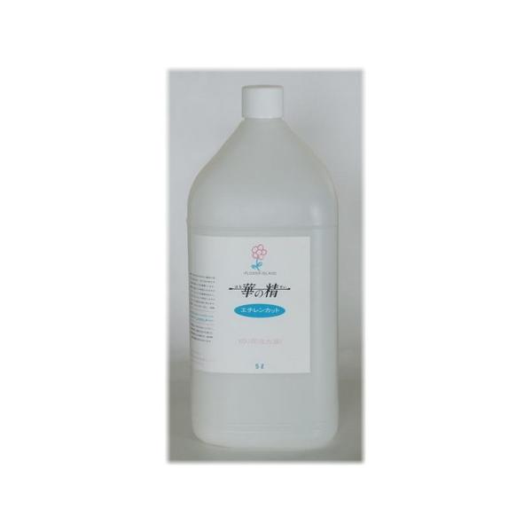 07 pXw ؂̐ G`Jbg 5L  ؉ԉ h{ ؂̐