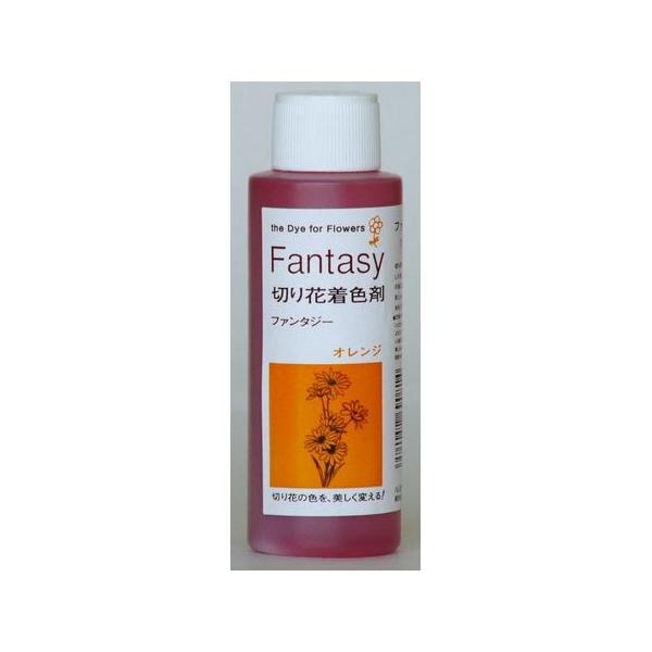 pXw t@^W[ 100 IW 1520207    ؉ԒF