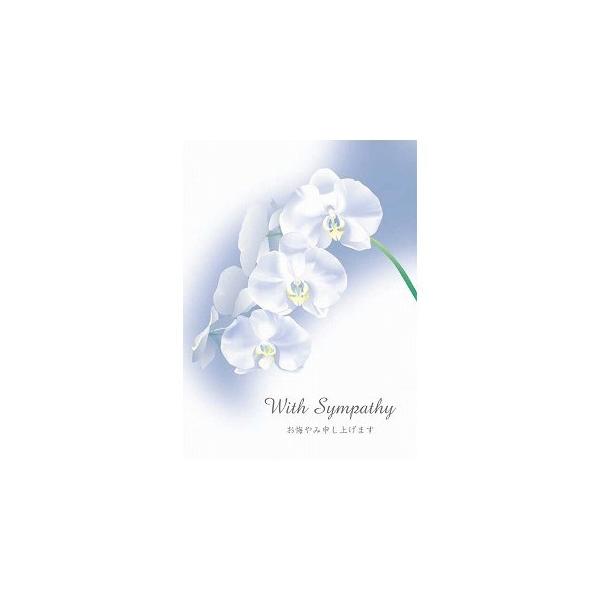 `LEO[eBOX ݃J[h G200-238 5 bZ[WJ[h O[eBOJ[h