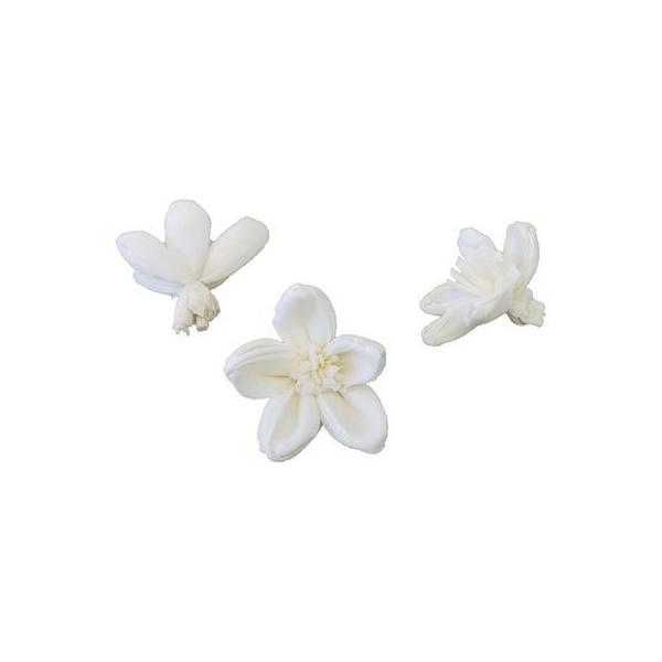 【商品番号：154-00200】/【VAR：65515】20200928new/bk-3019ソラフラワー その他ソラフラワー