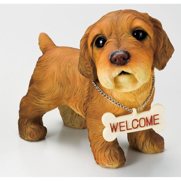 GC`c[I[ u[~bNXhbN v[A H289 2 |pi K[fjOG I[ig u I[ig