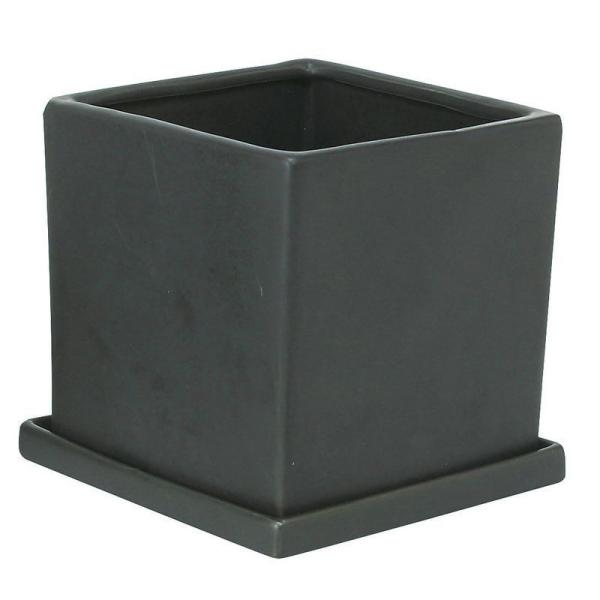 Aؔ  GC`c[I[ CeA|bg XNFA[k ubN H1211 6 K[fjO |pi t[|bg  Z~bN