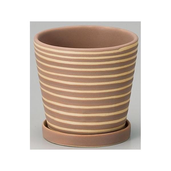 Aؔ  GC`c[I[ pXezxr uE H1258 6 K[fjO |pi t[|bg  Z~bN